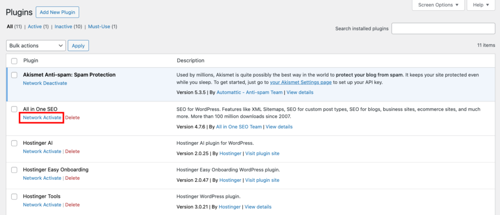 Network Activate setting in the WordPress Plugins page