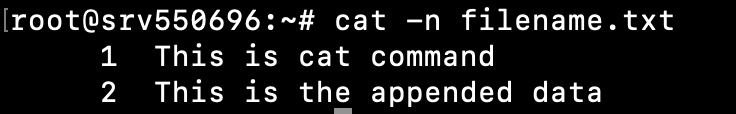 Terminal window showing the output of the cat -n filename.txt command to display the line numbers