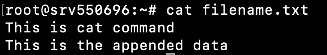 Terminal window showing the contents of the filename.txt file after appending data to it