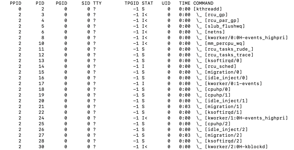 The ps -axjf command's output in the terminal