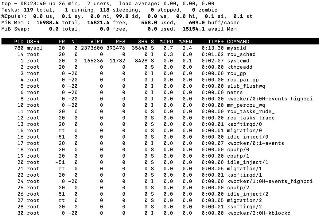 The top command's output in the terminal