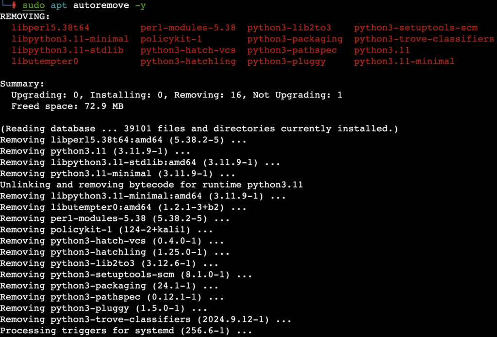 The sudo apt autoremove -y command's output in the terminal