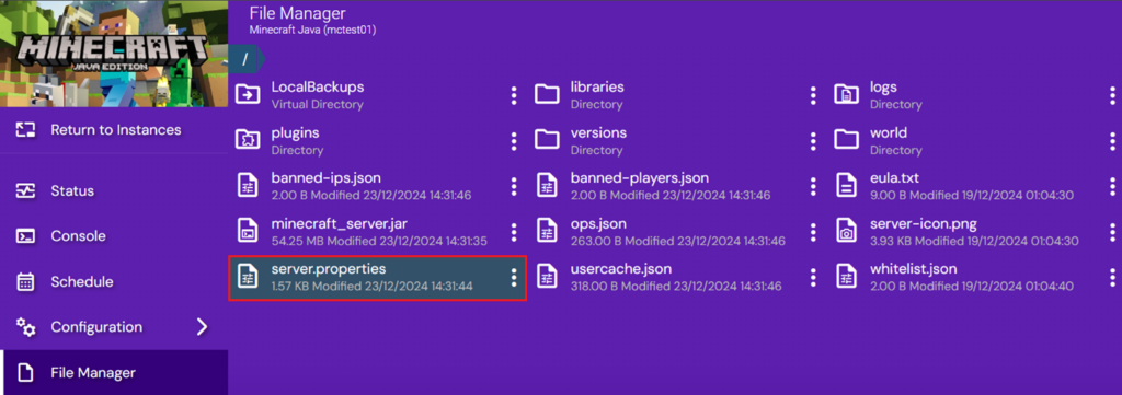 Server files presented in File Manager
