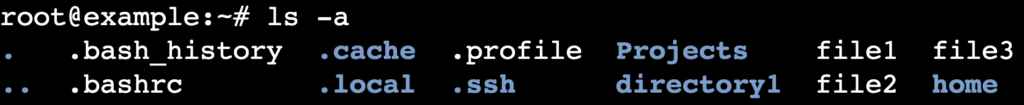 The ls -a command's output in the terminal