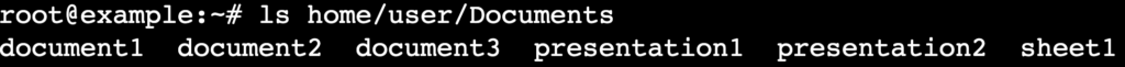 The ls /home/user/Documents command's output in the terminal