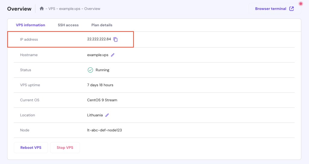 The IP address information in hPanel's VPS